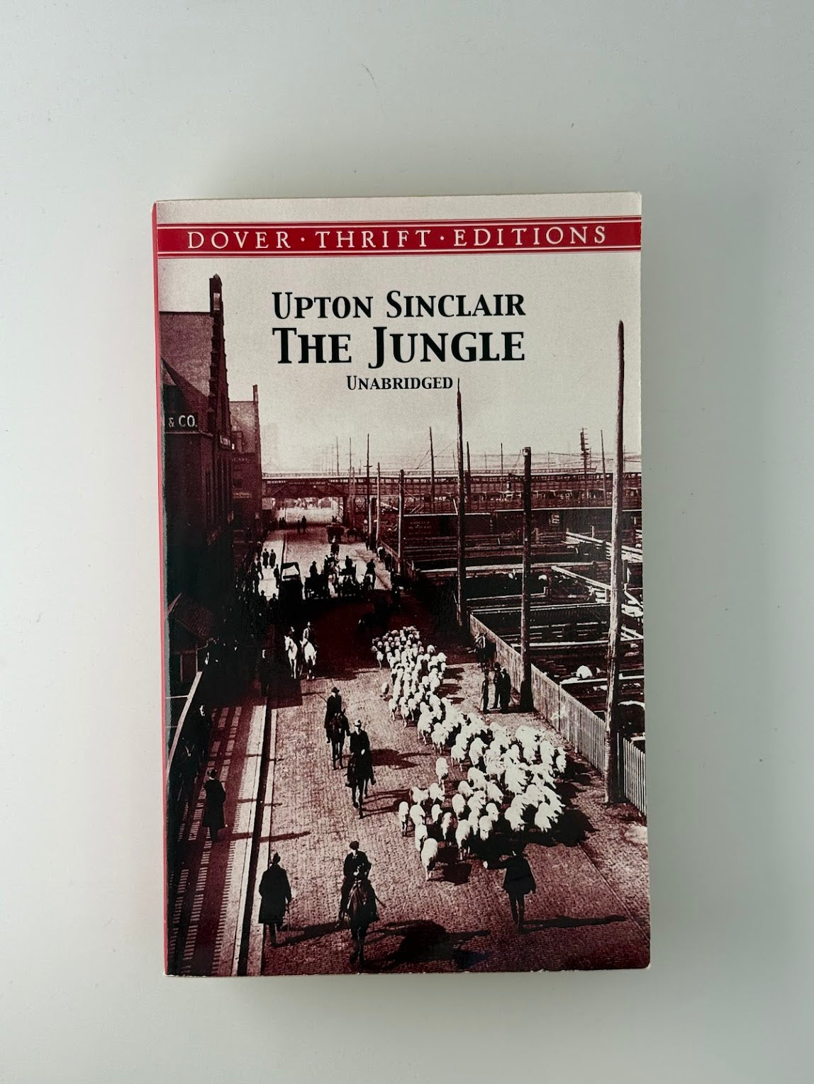 The Jungle by Upton Sinclair