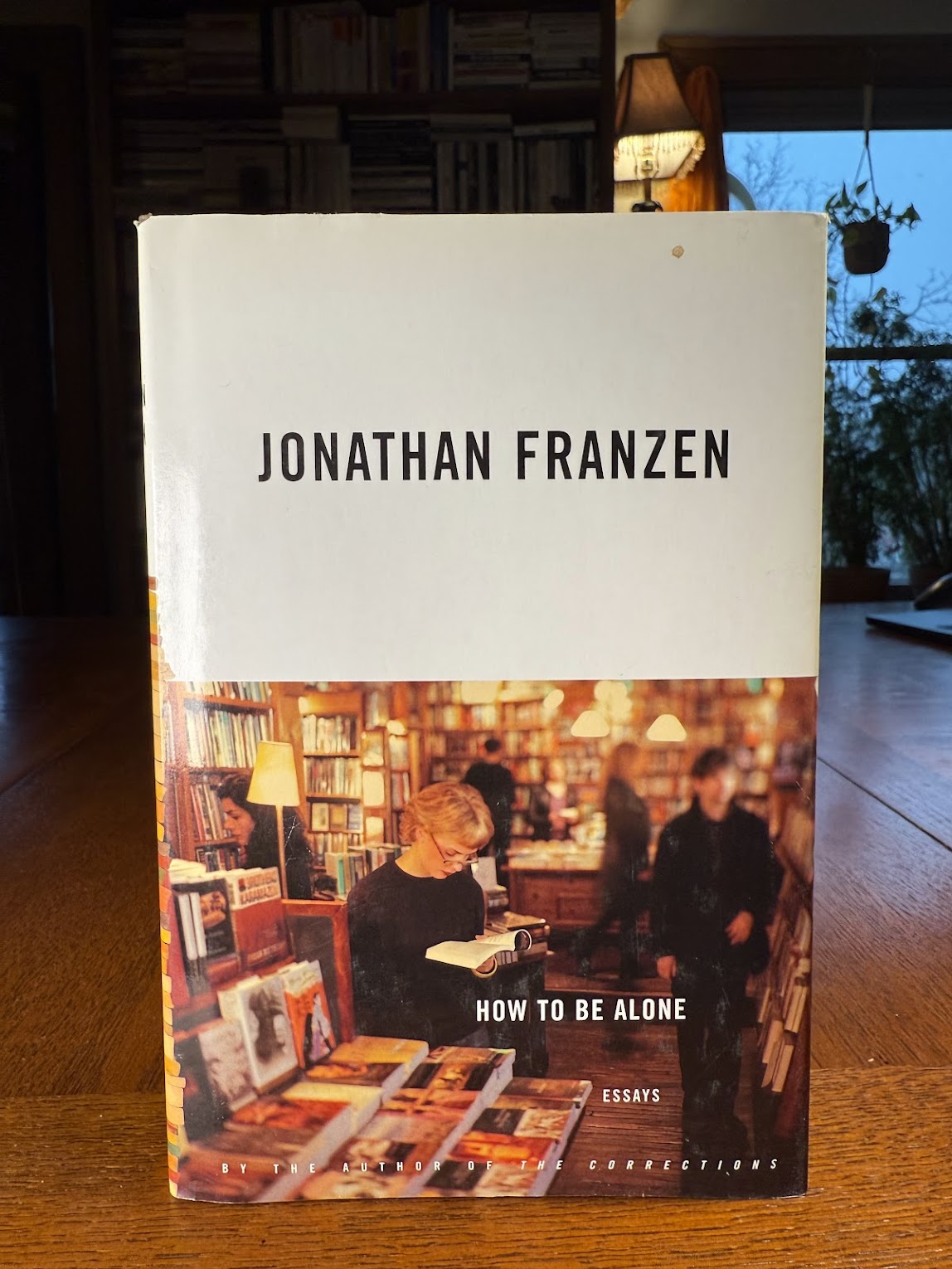 How to Be Alone by Jonathan Franzen