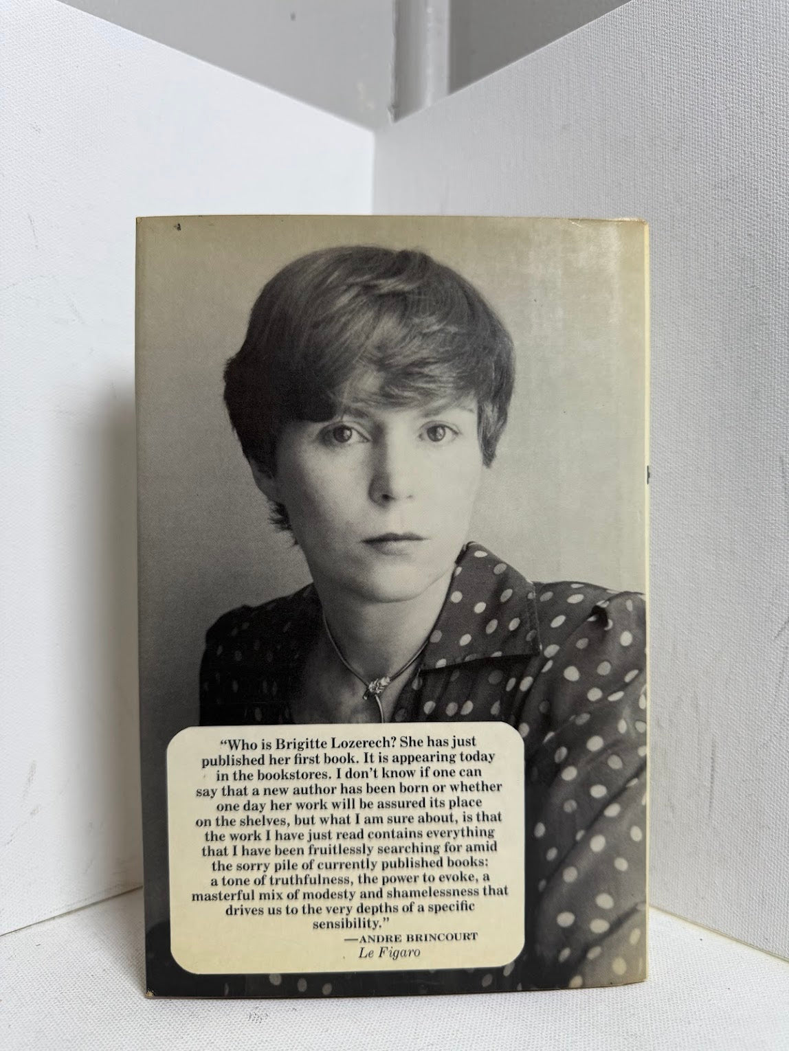 The Temp by Brigitte Lozerech