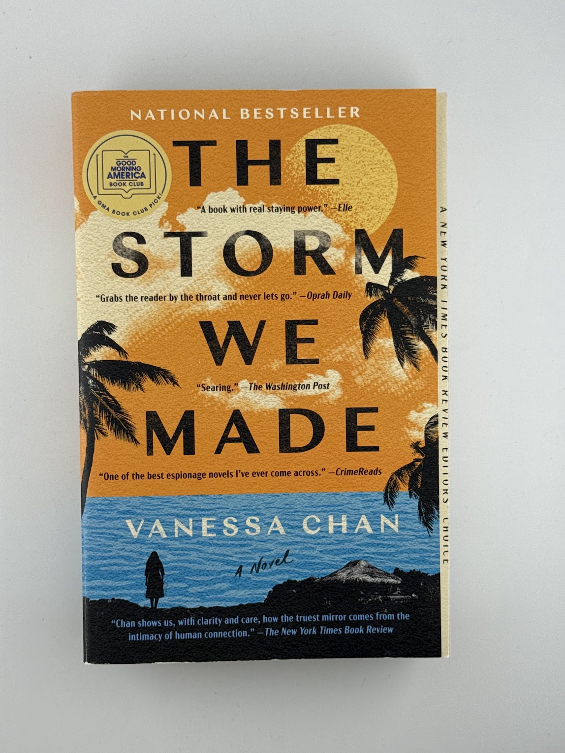 The Storm We Made by Vanessa Chan