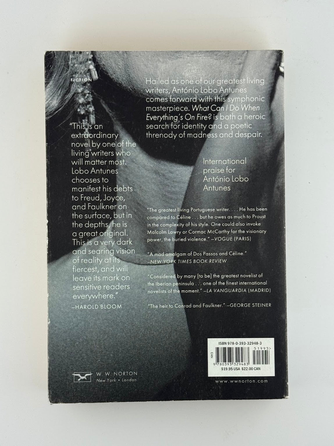 What Can I Do When Everythings on Fire? by Antonio Lobo Antunes