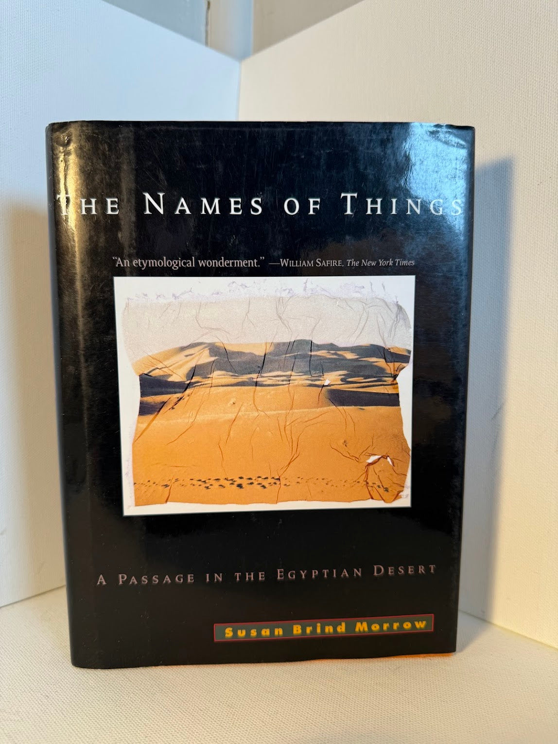 The Names of Things by Susan Brind Morrow