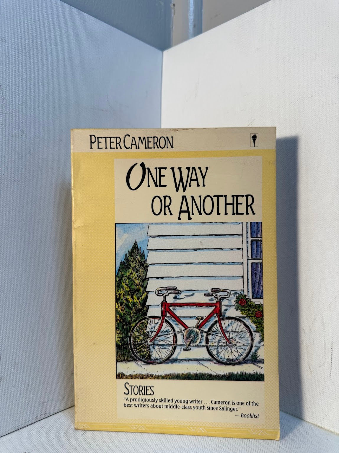 One Way or Another by Peter Cameron