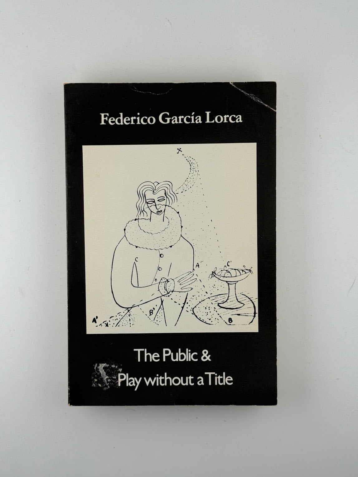 The Public & Play Without a Title by Federico Garcia Lorca