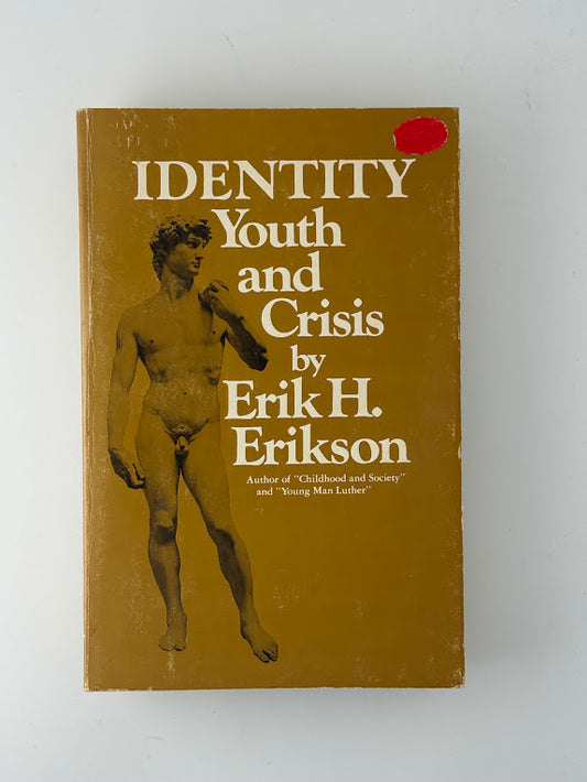 Identity Youth and Crisis by Erik Erikson