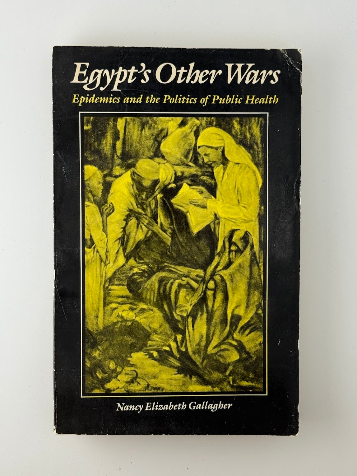 Egypt's Other Wars - Pandemics and the Politics of Public Health by Nancy Elizabeth Gallagher