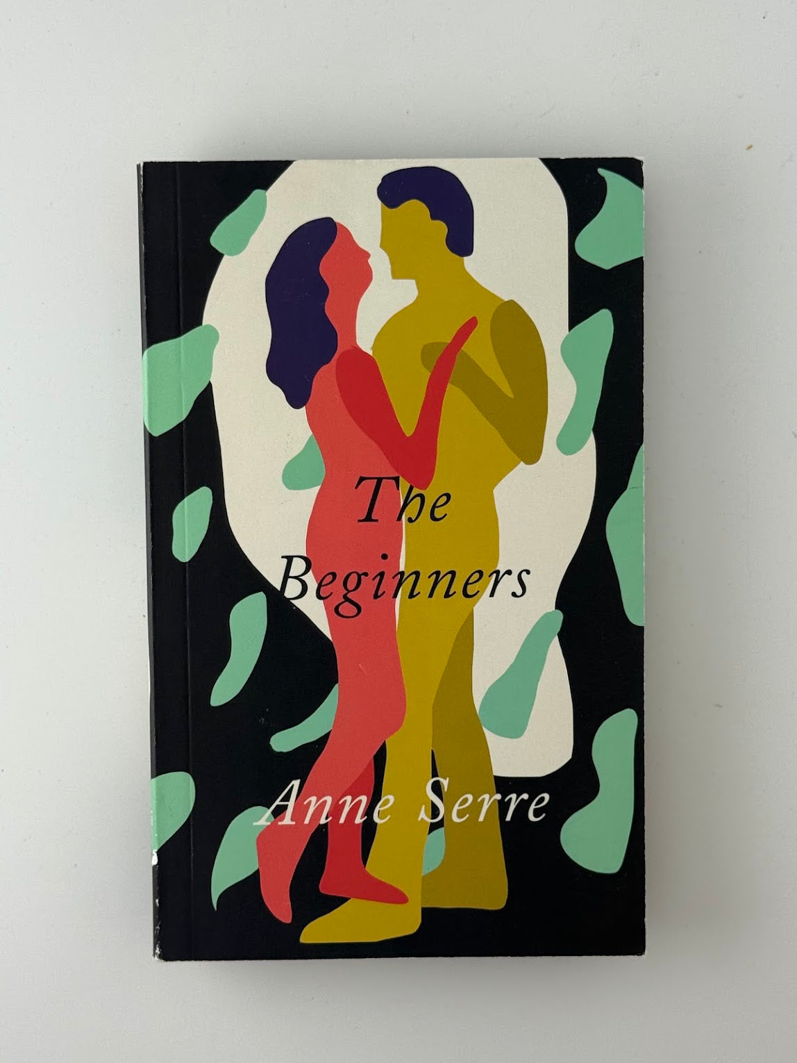 The Beginners by Anne Serre