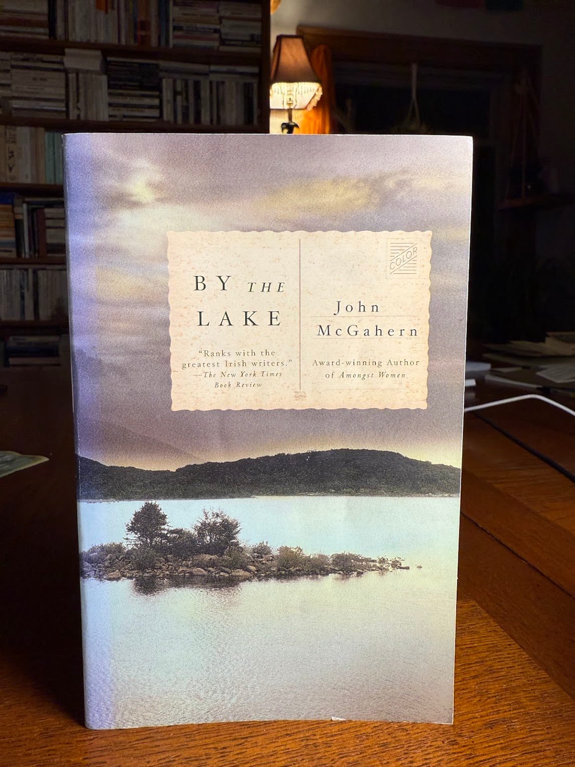 By The Lake by John McGahern