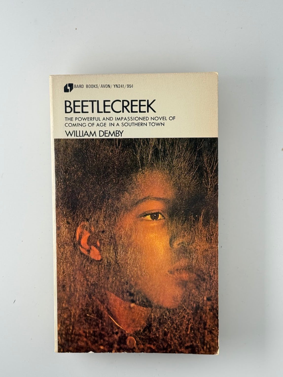 Beetlecreek by William Demby