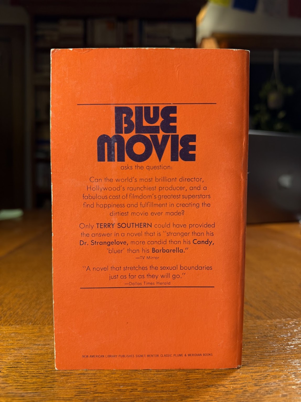 Blue Movie by Terry Southern