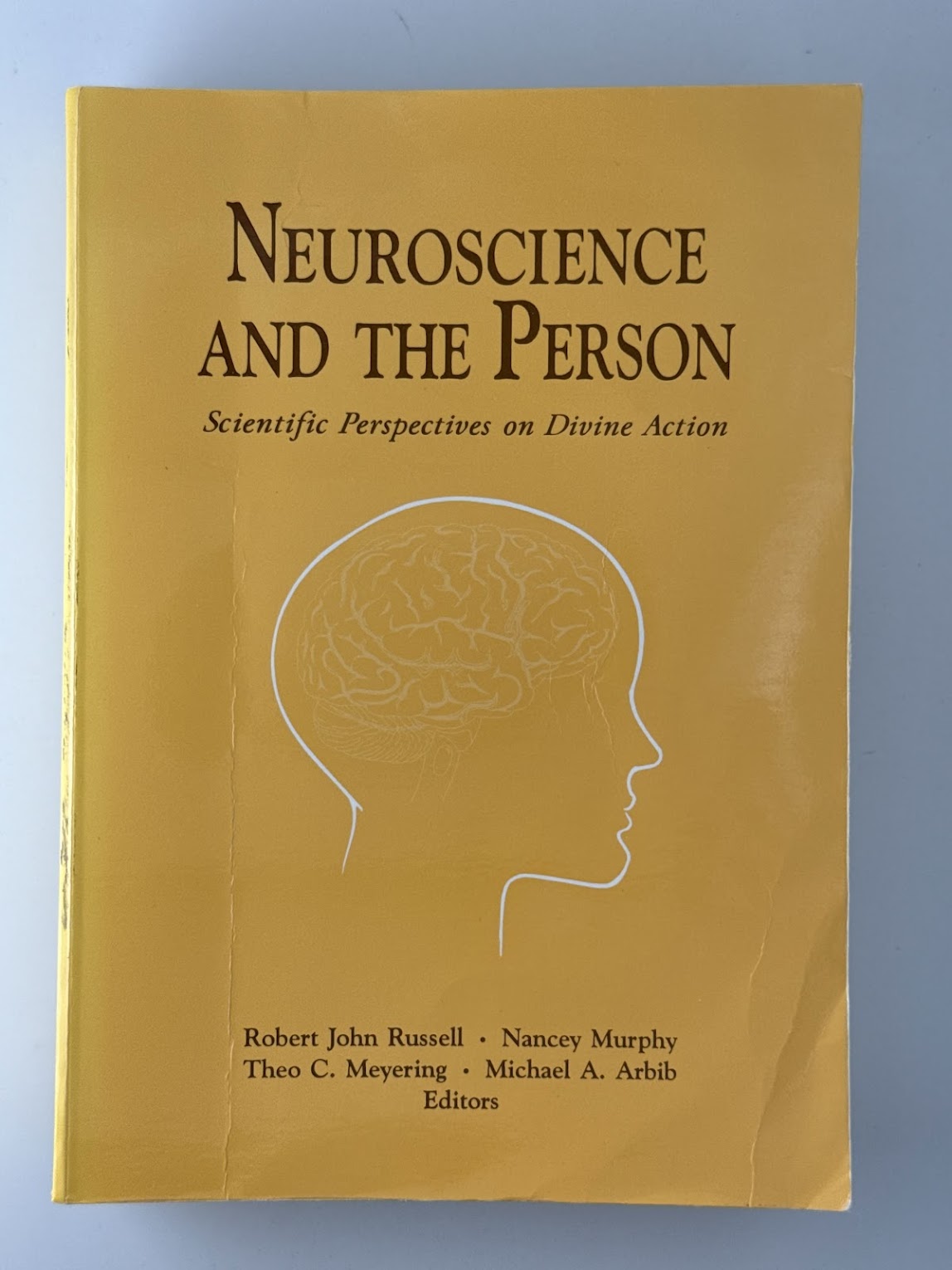 Neuroscience and the Person - Scientific Perspectives on Divine Action