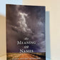 The Meaning of Names by Karen Gettert Shoemaker