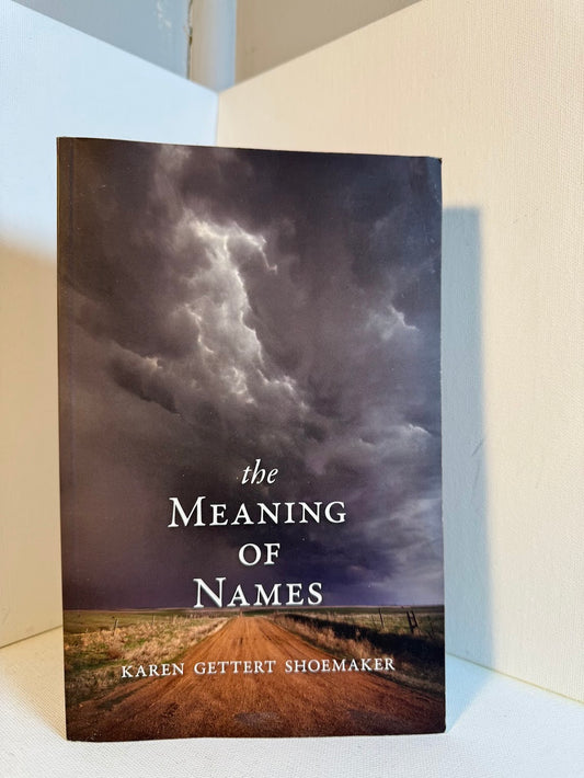 The Meaning of Names by Karen Gettert Shoemaker