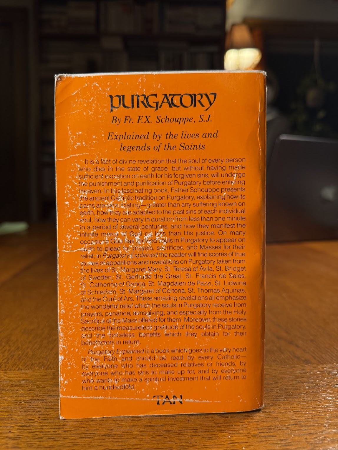 Purgatory Explained by the Lives and Legends of the Saints by Fr. F.X. Schouppe