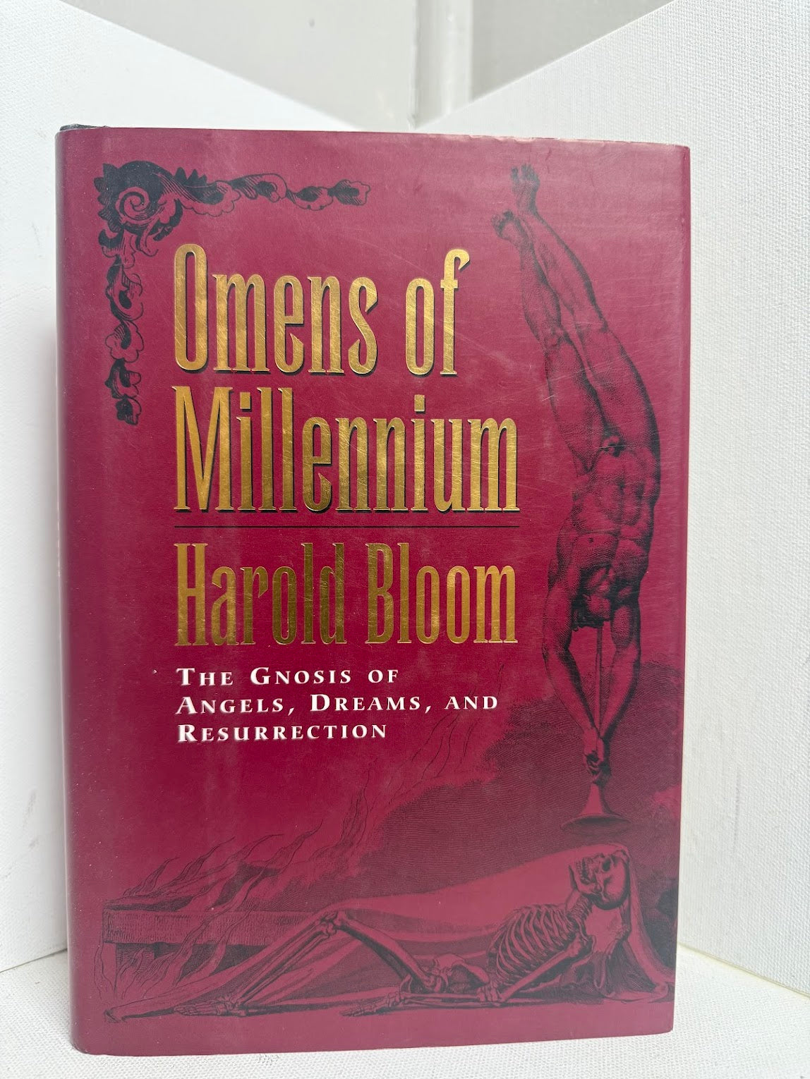 Omens of Millennium - The Gnosis of Angels, Dreams, and Resurrection by Harold Bloom