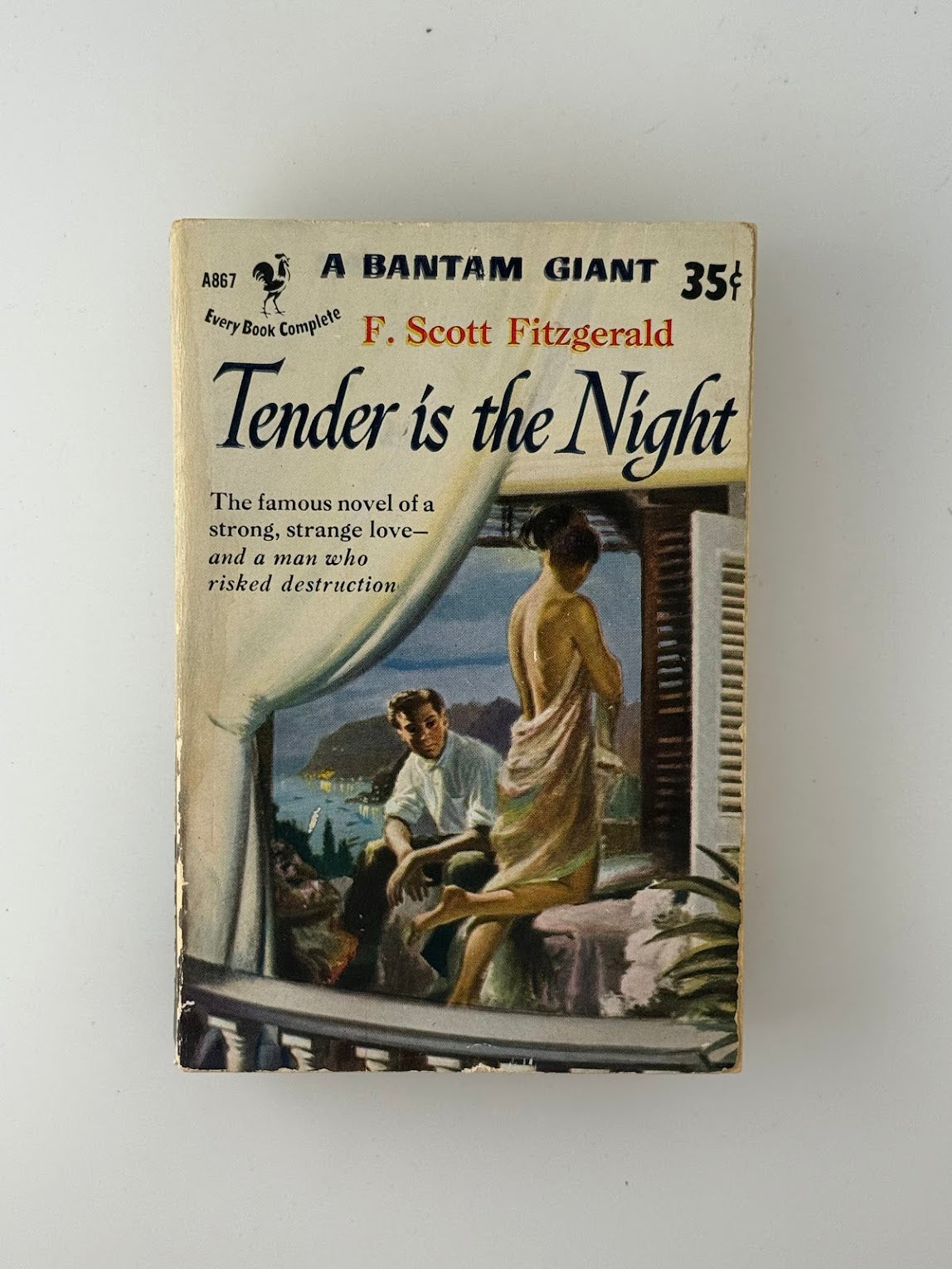 Tender is the Night by F. Scott Fitzgerald