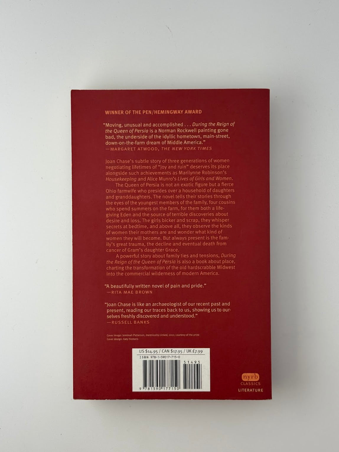 During the Reign of the Queen of Persia by Joan Chase