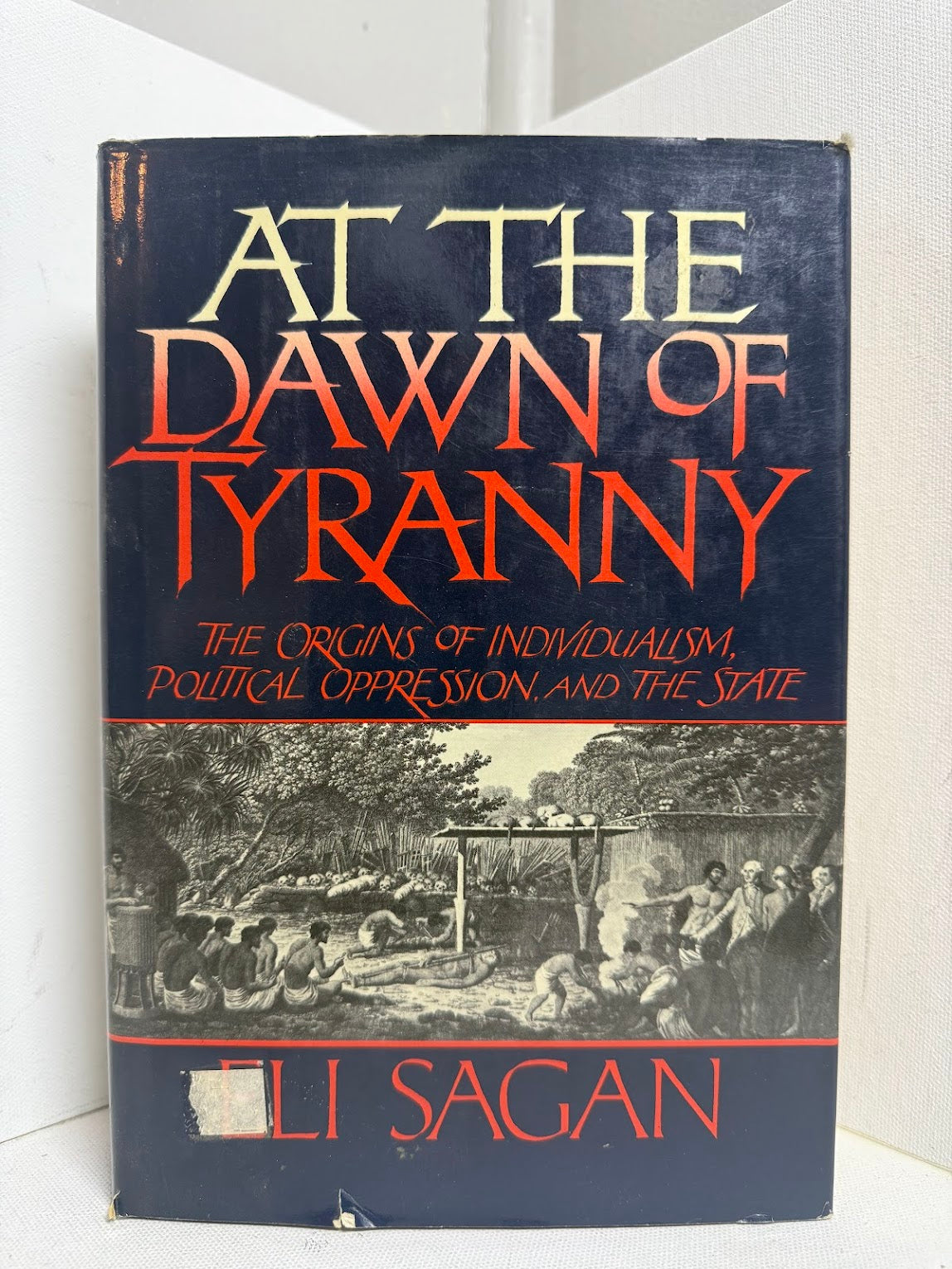 At the Dawn of Tyranny by Eli Sagan