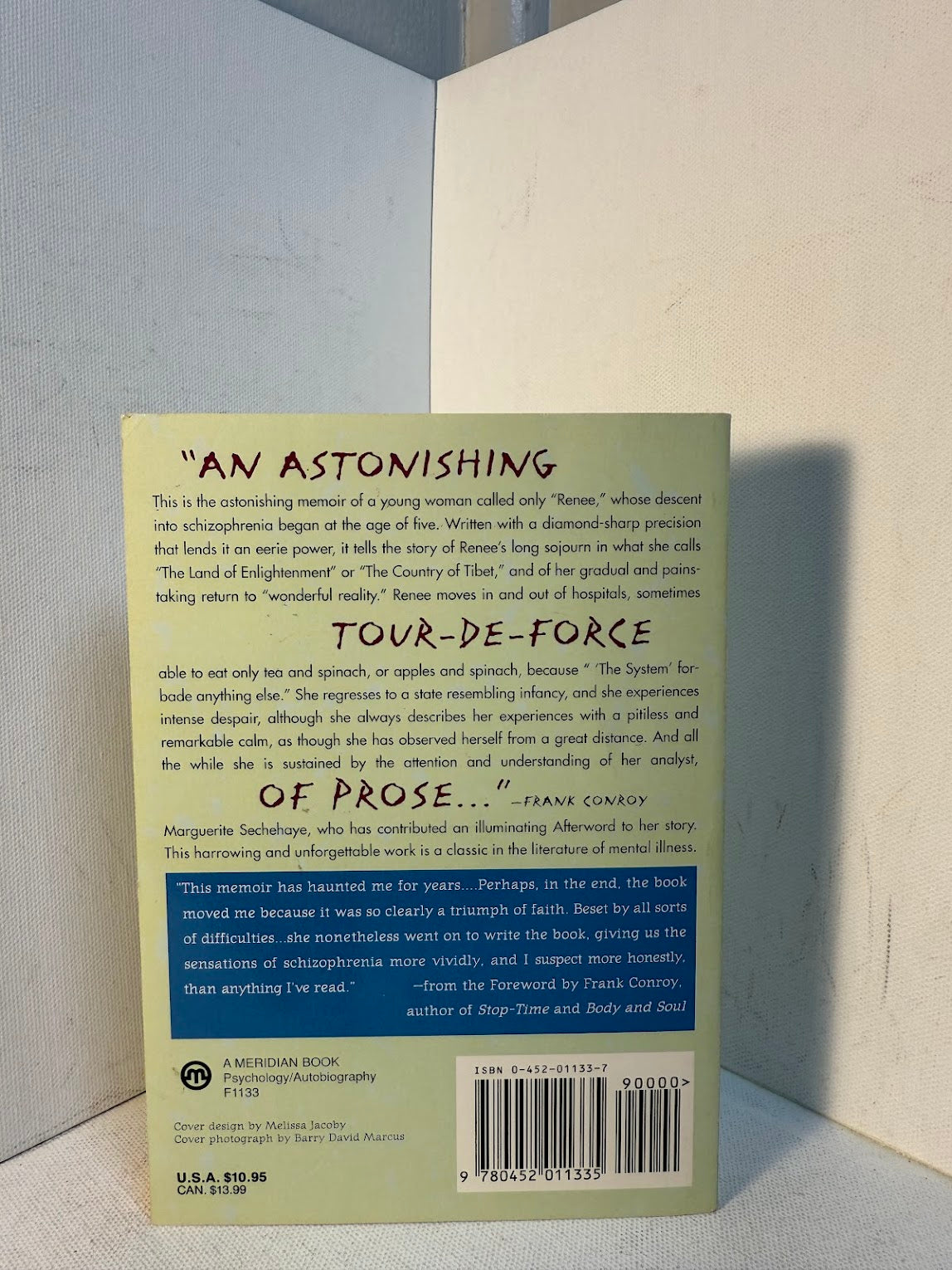 Autobiography of a Schizophrenic Girl