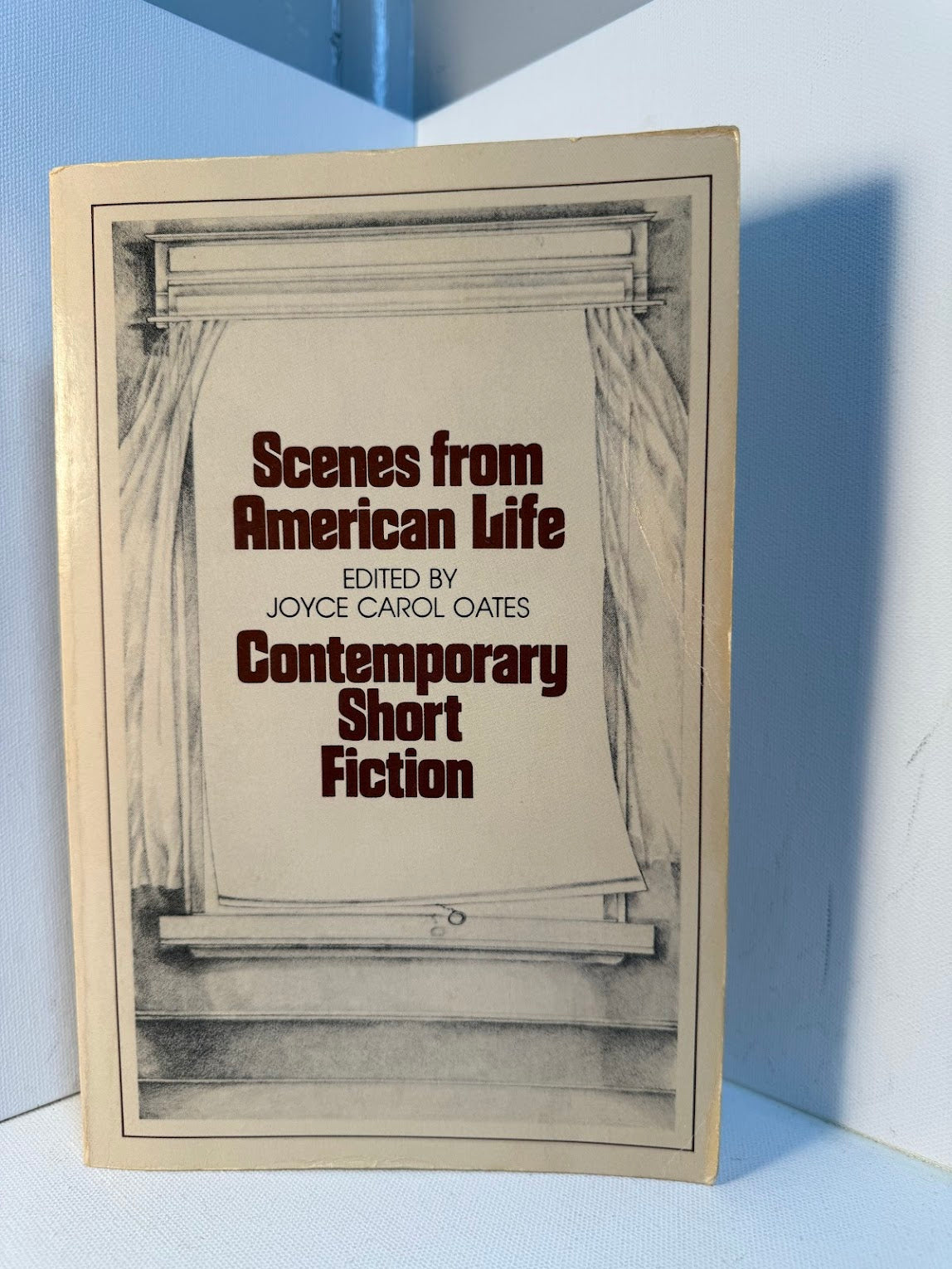 Scenes From American Life edited by Joyce Carol Oates
