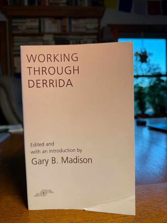 Working Through Derrida edited by Gary B. Madison