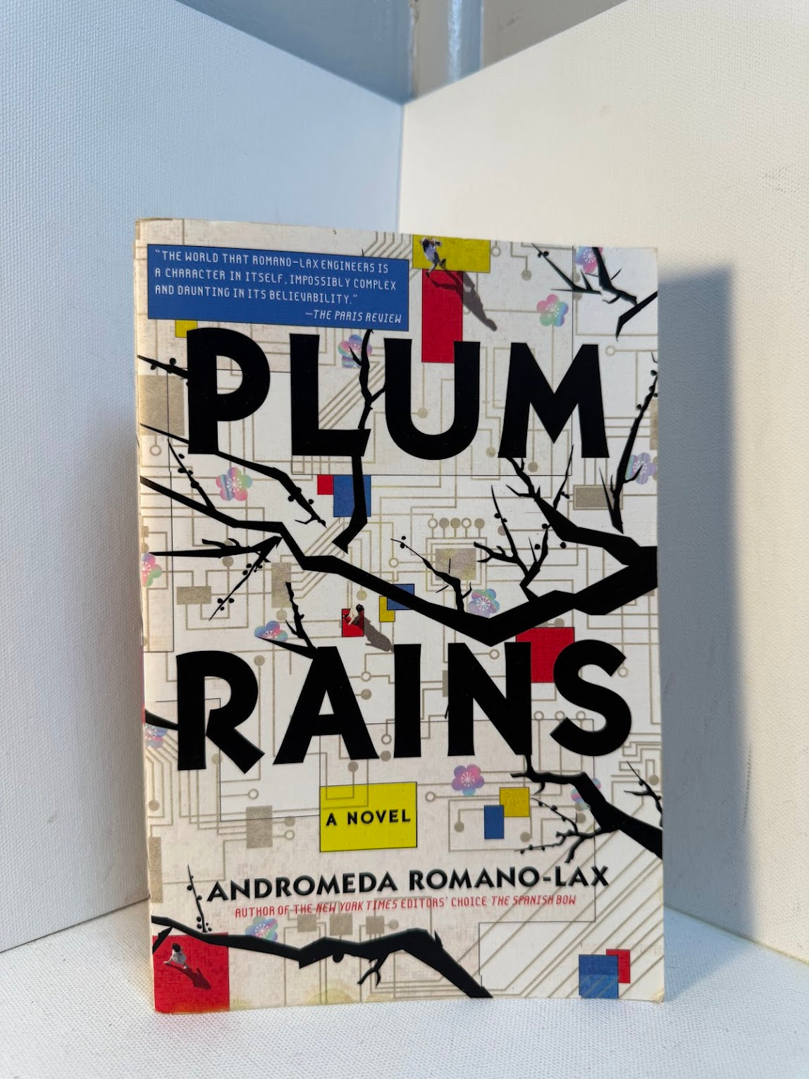 Plum Rains by Andromeda Romano-Lax