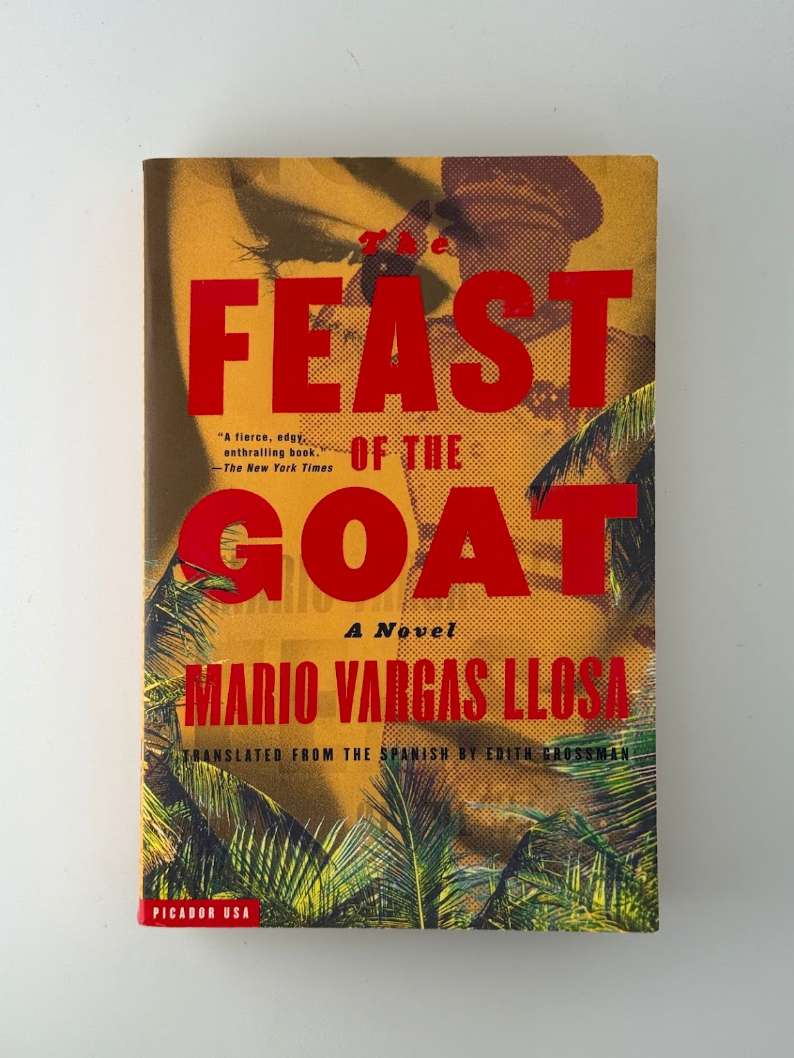 The Feast of the Goat by Mario Vargas Llosa