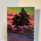 The Southwest Corner by Mildred Walker
