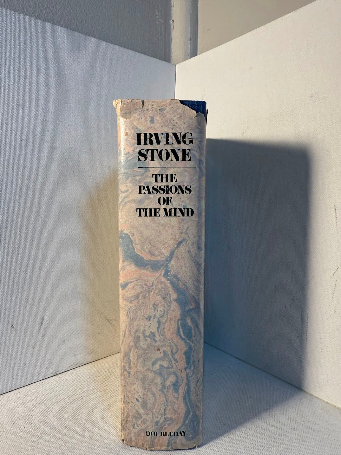 The Passions of Mind by Irving Stone