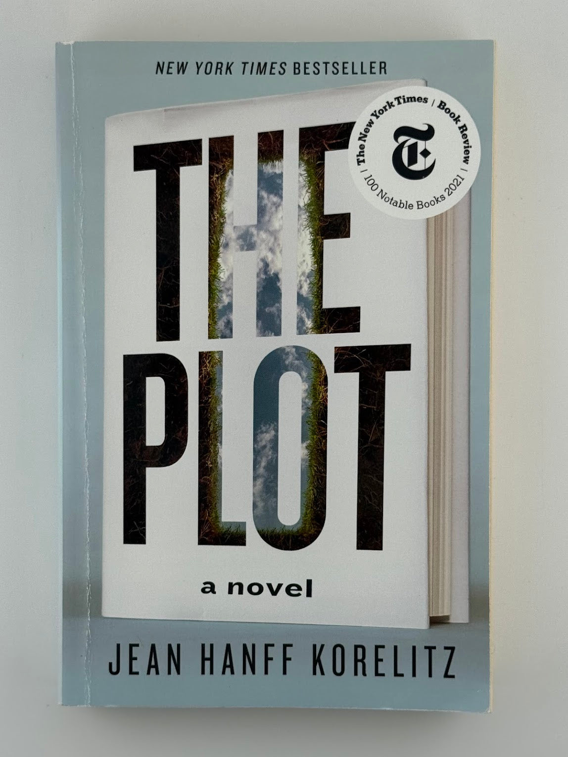 The Plot by Jean Hanff Korelitz