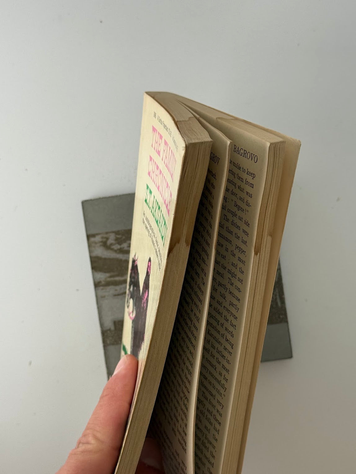 The Family Chronicle by S.T. Aksakov