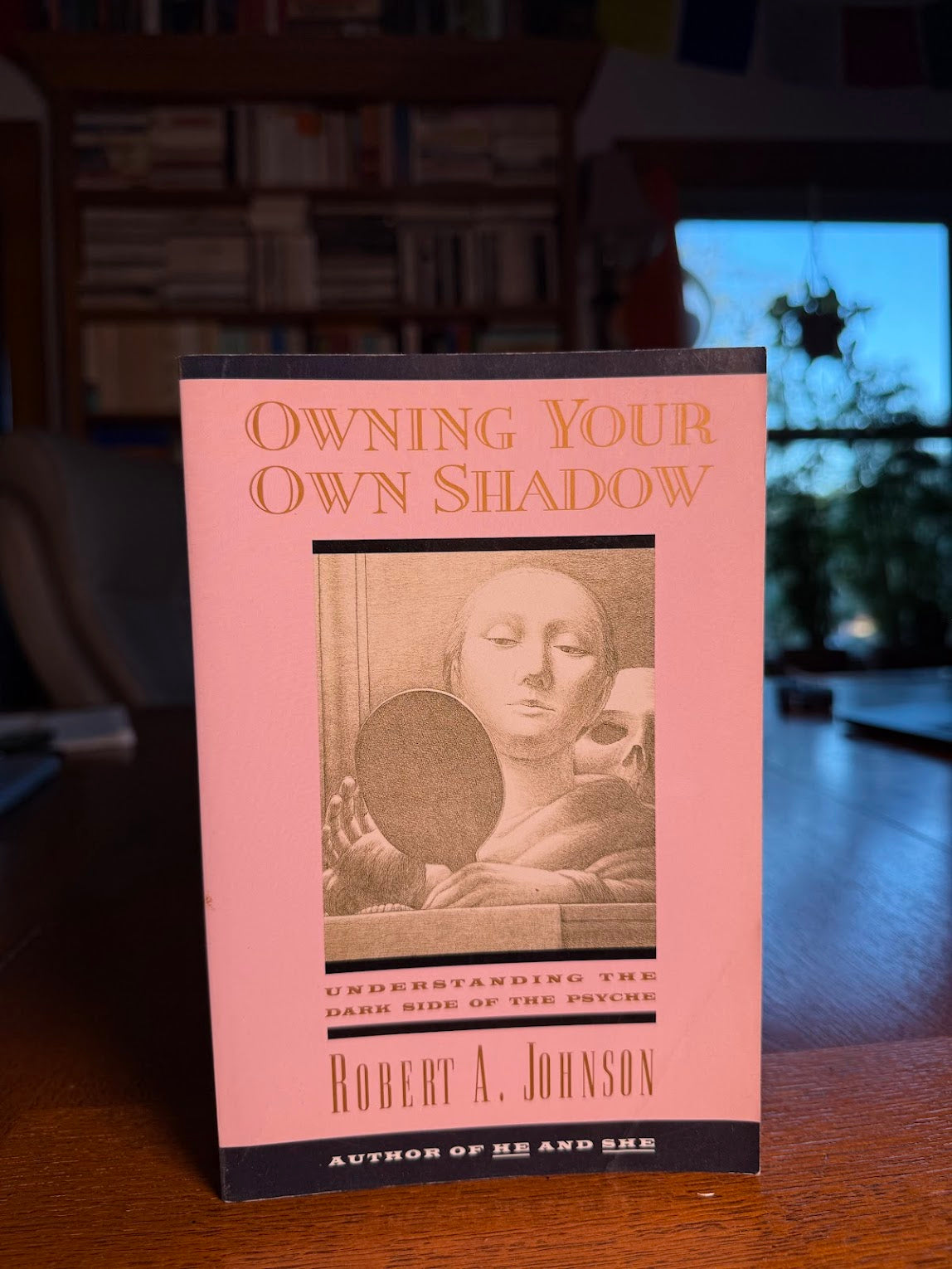 Owning Your Own Shadow by Robert A. Johnson