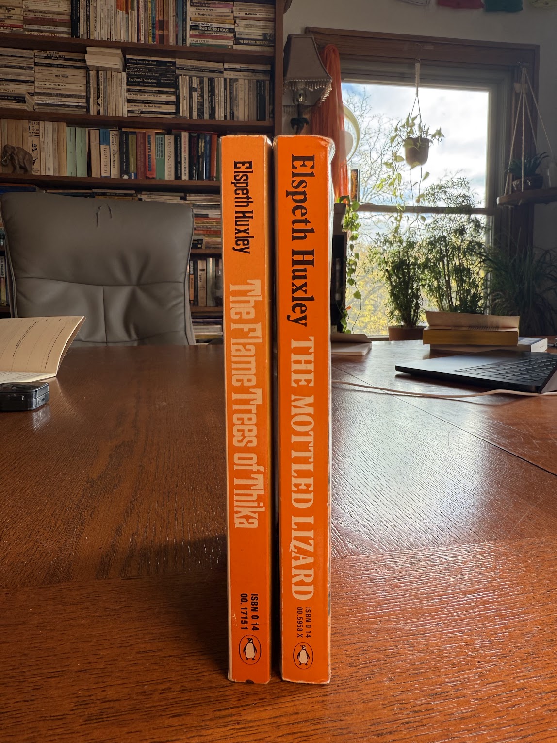 The Flame Trees of Thika & The Mottled Lizard by Elspeth Huxley