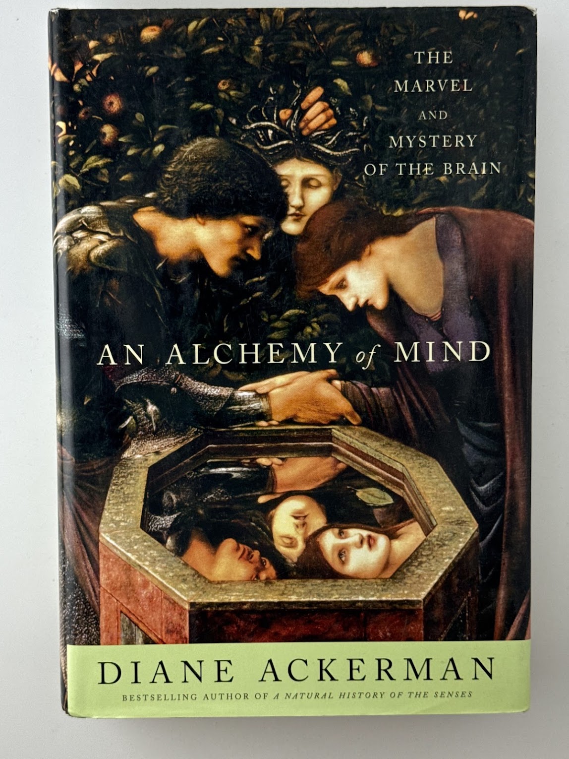 An Alchemy of Mind by Diane Ackerman