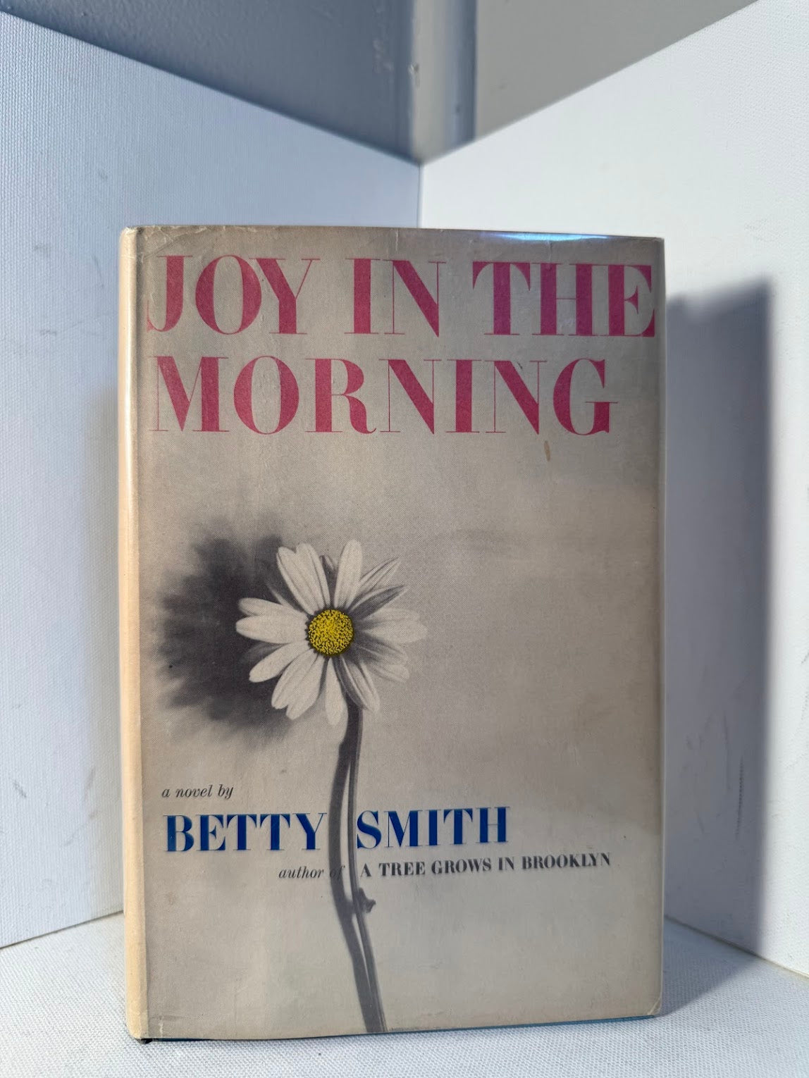 Joy in the Morning by Betty Smith