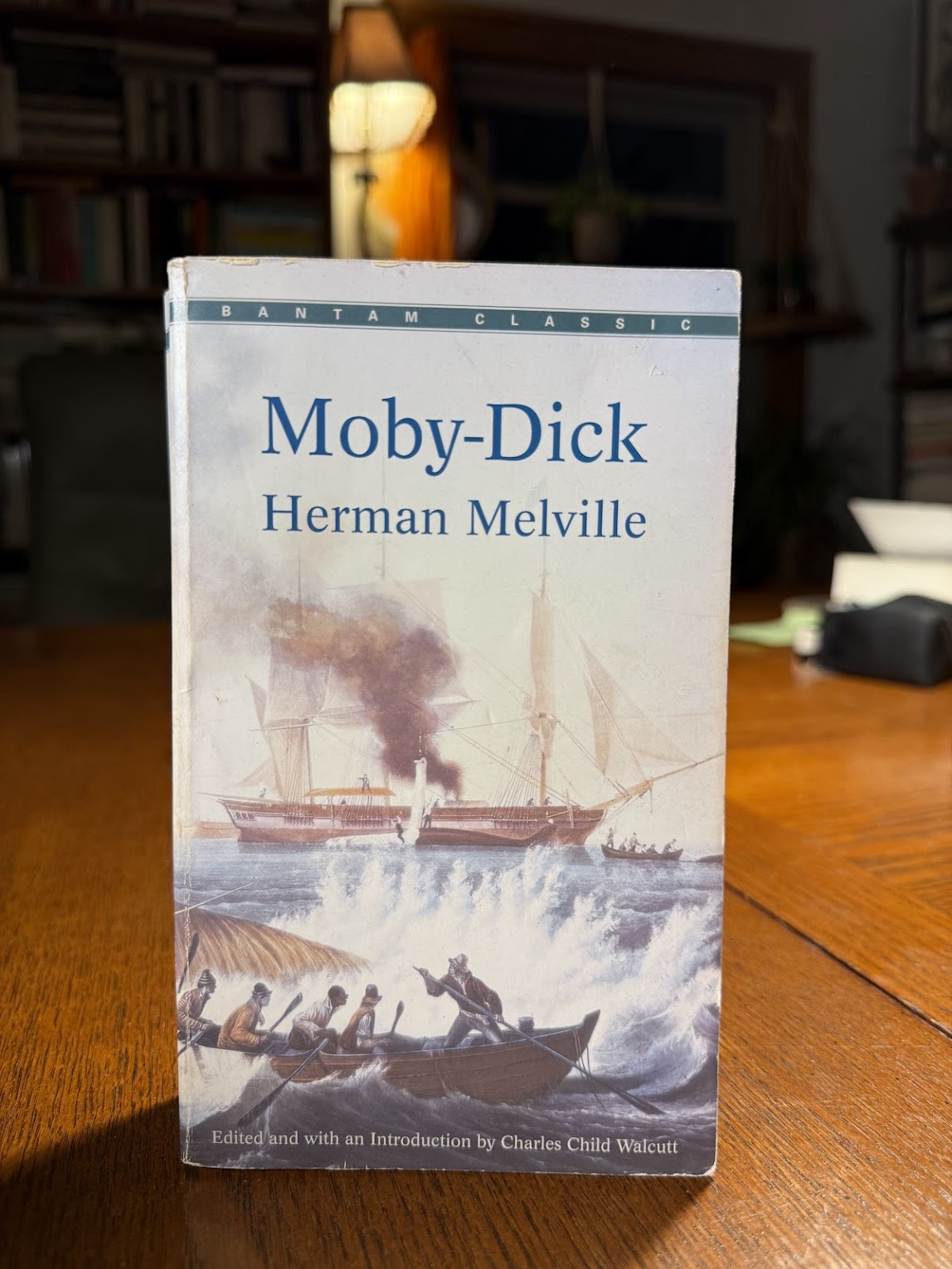 Moby Dick by Herman Melville