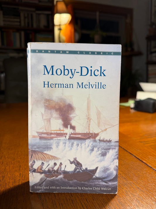 Moby Dick by Herman Melville