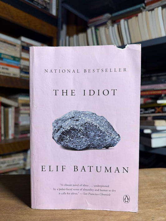 The Idiot by Elif Batuman