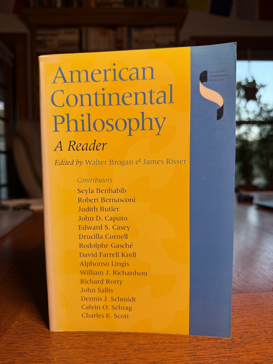 American Continental Philosophy - A Reader edited by Walter Brogan & James Risser