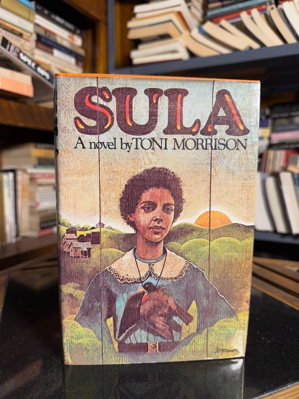 Sula by Toni Morrison