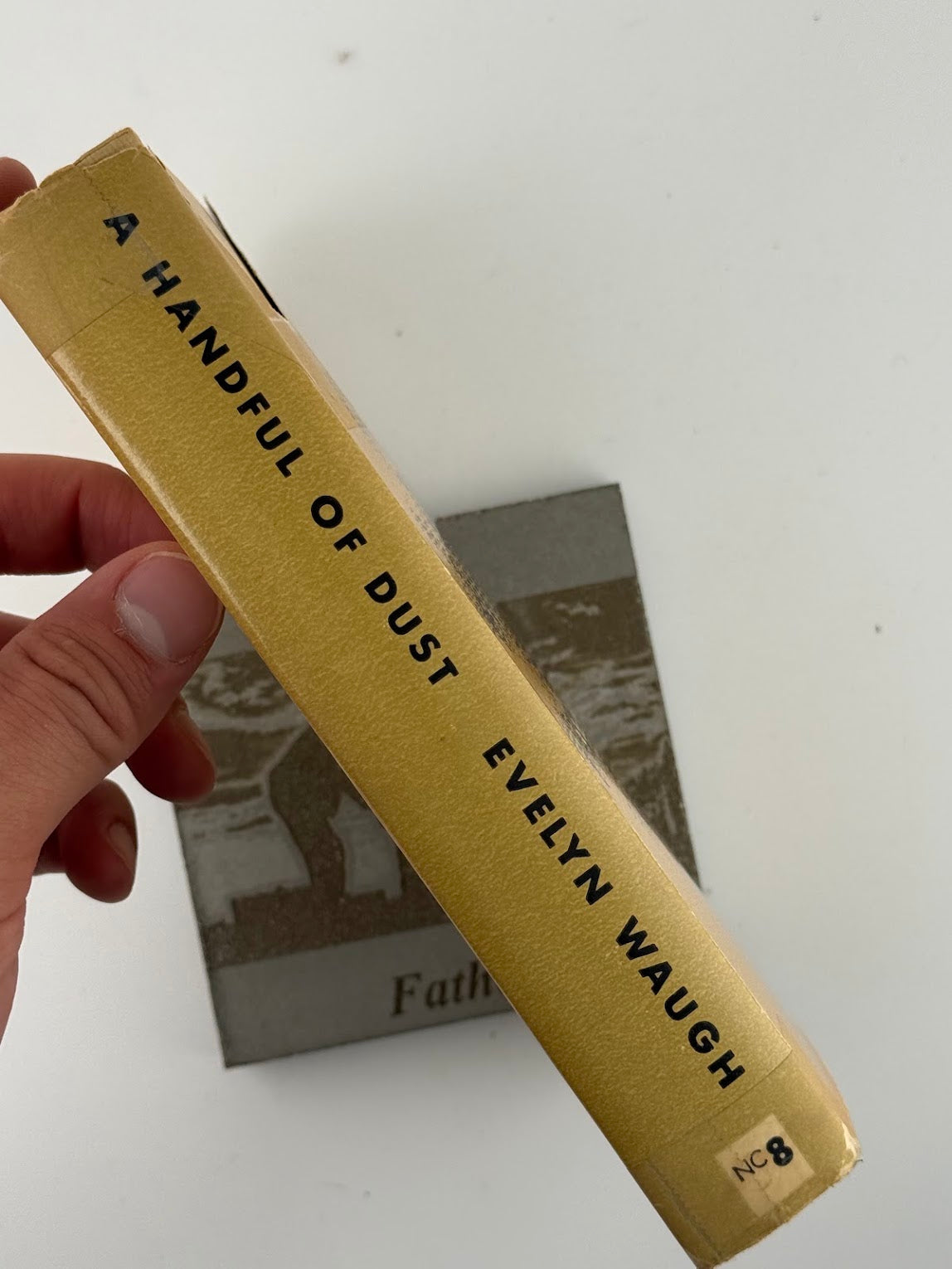A Handful of Dust by Evelyn Waugh