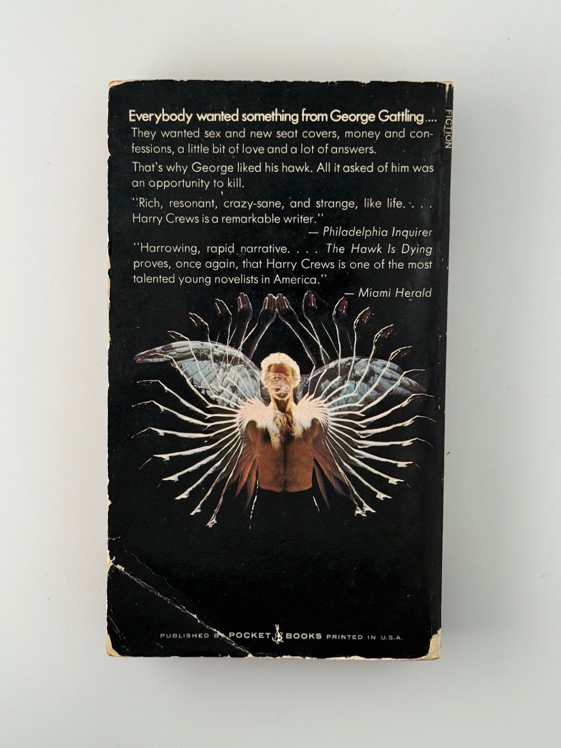 The Hawk is Dying by Harry Crews