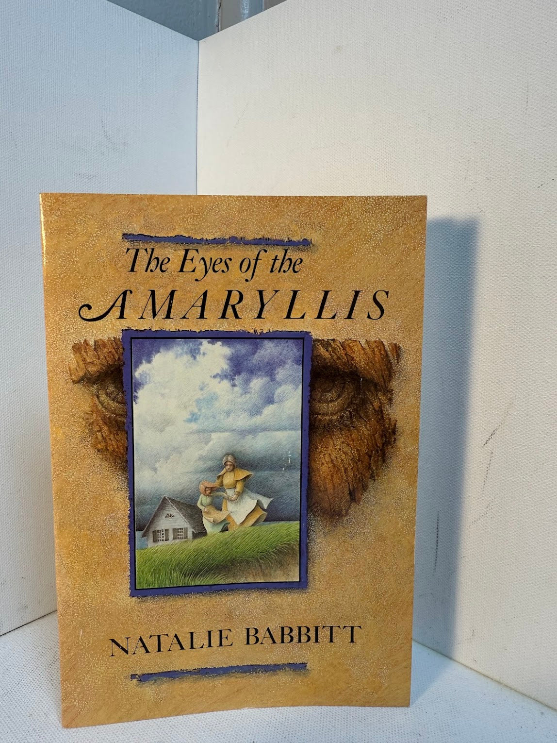 The Eyes of Amaryllis by Natalie Babbitt