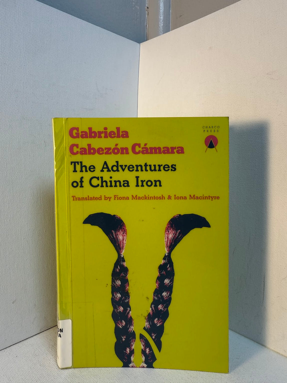 The Adventures of China Iron by Gabriela Cabezon Camara