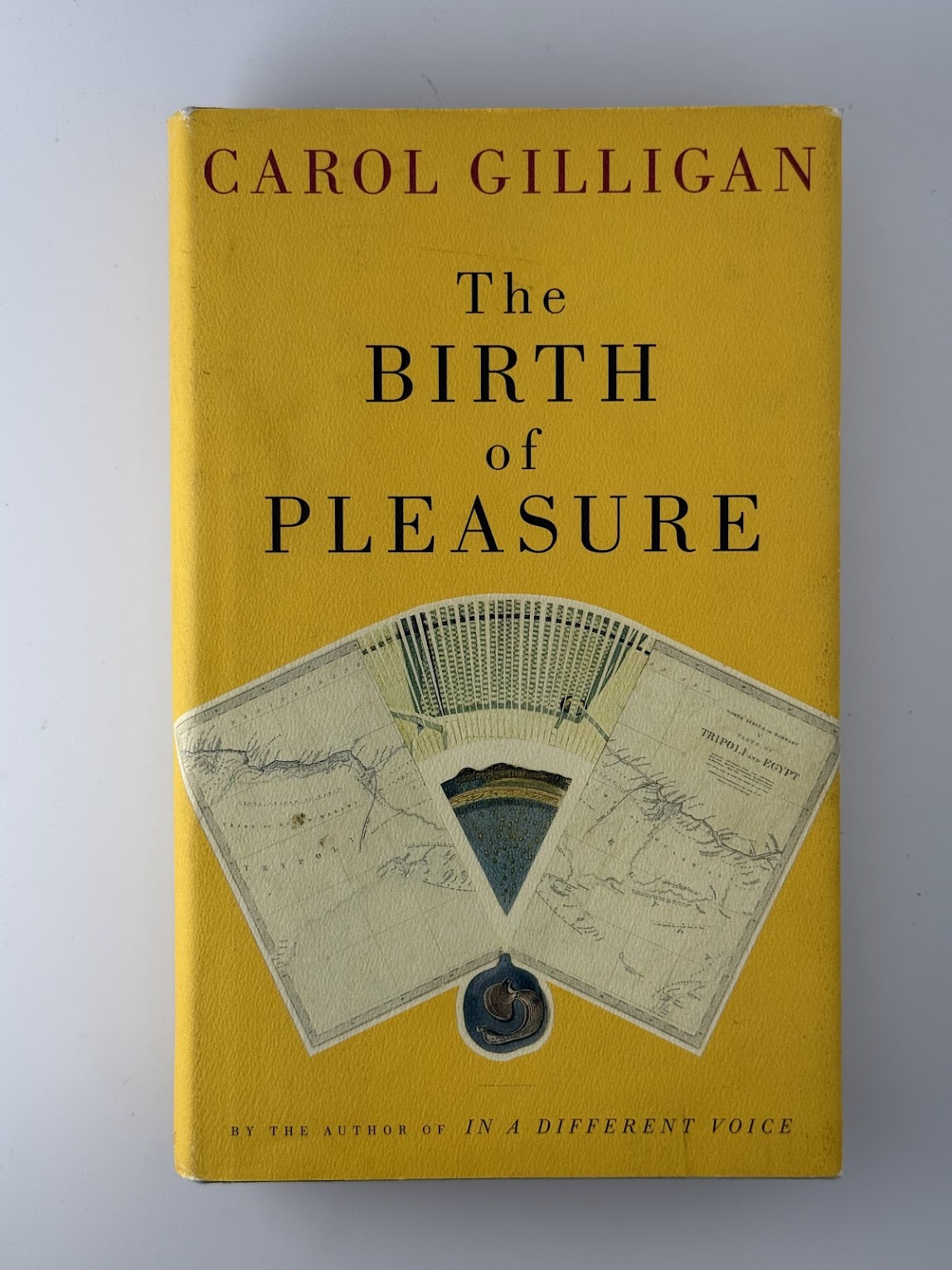 The Birth of Pleasure by Carol Gilligan