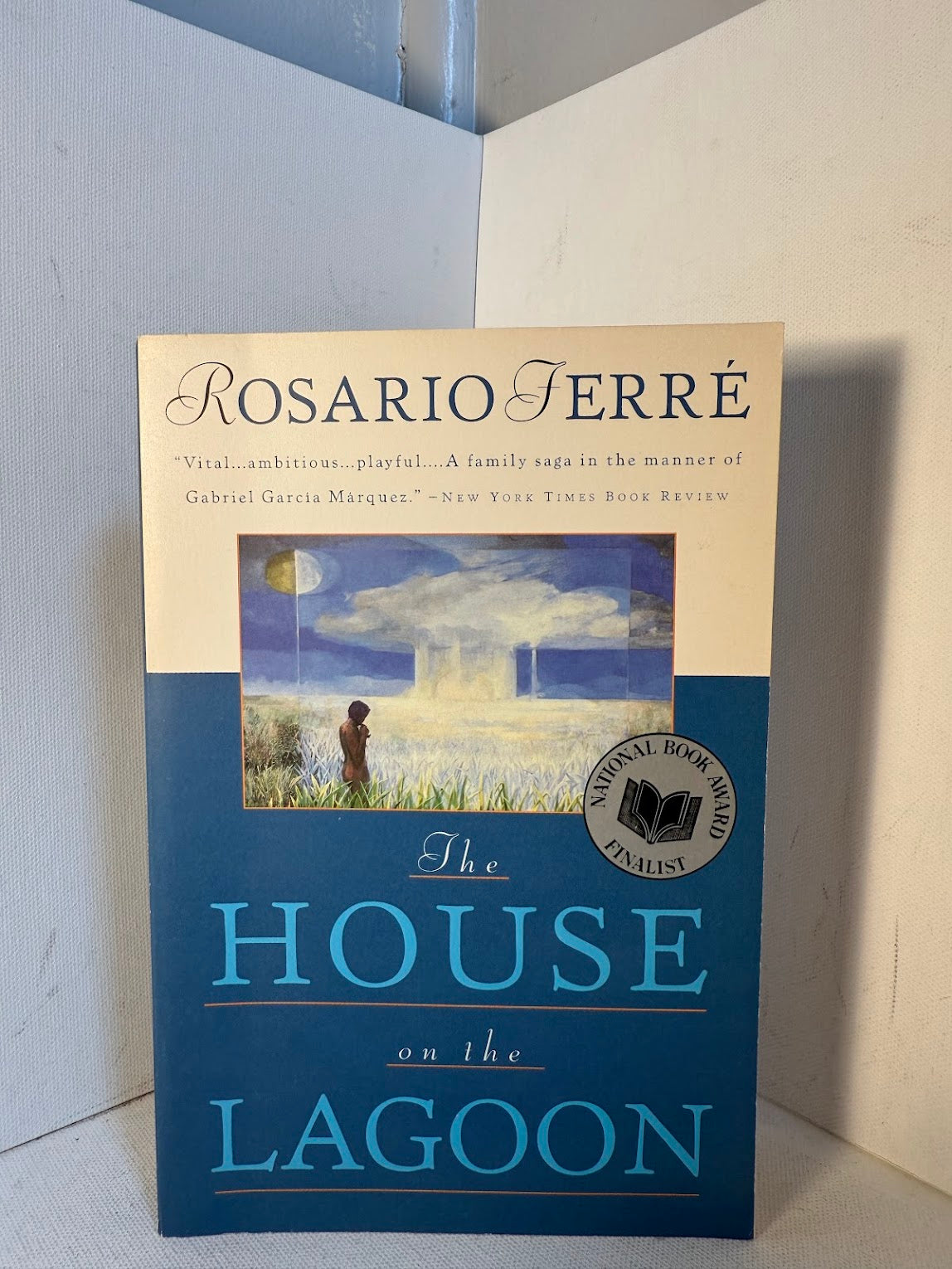 The House on the Lagoon by Rosario Ferre