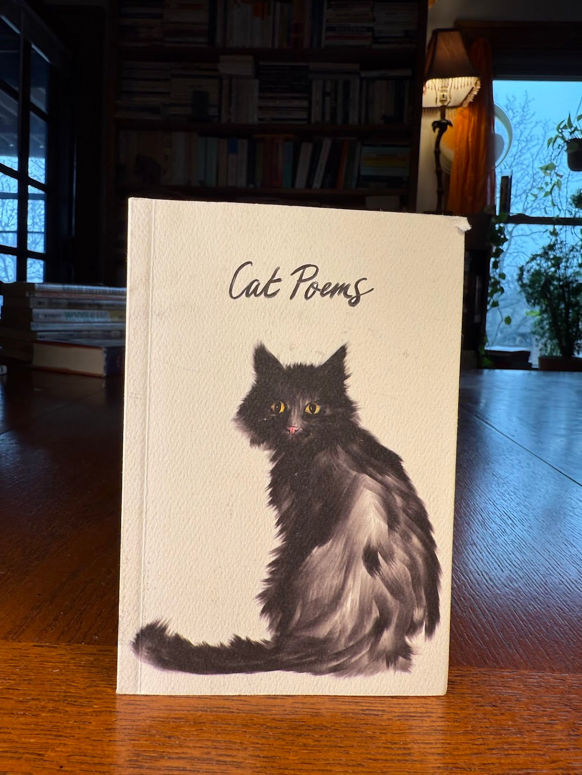 Cat Poems