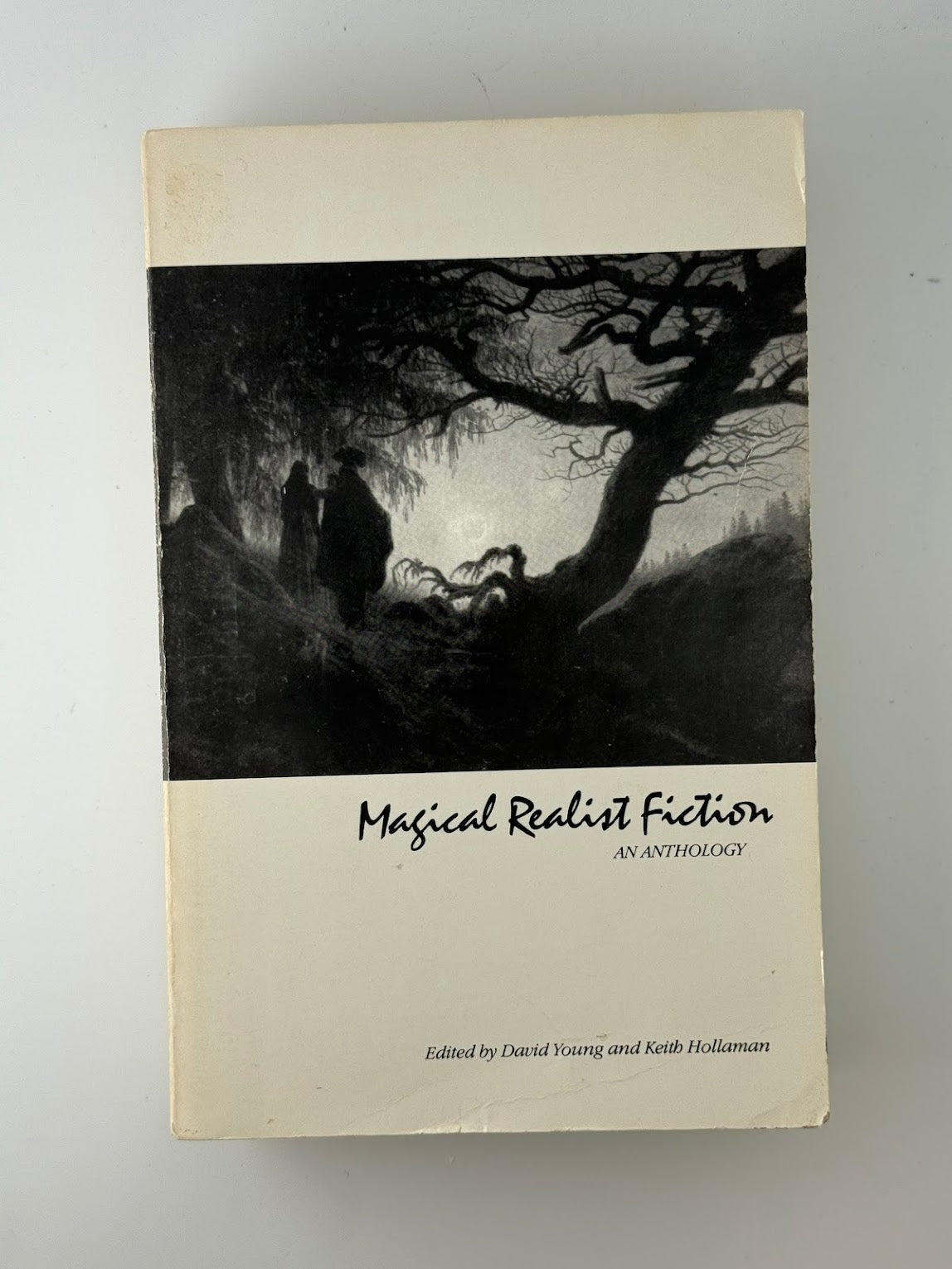Magical Realist Fiction - An Anthology edited by David Young and Keith Hollaman