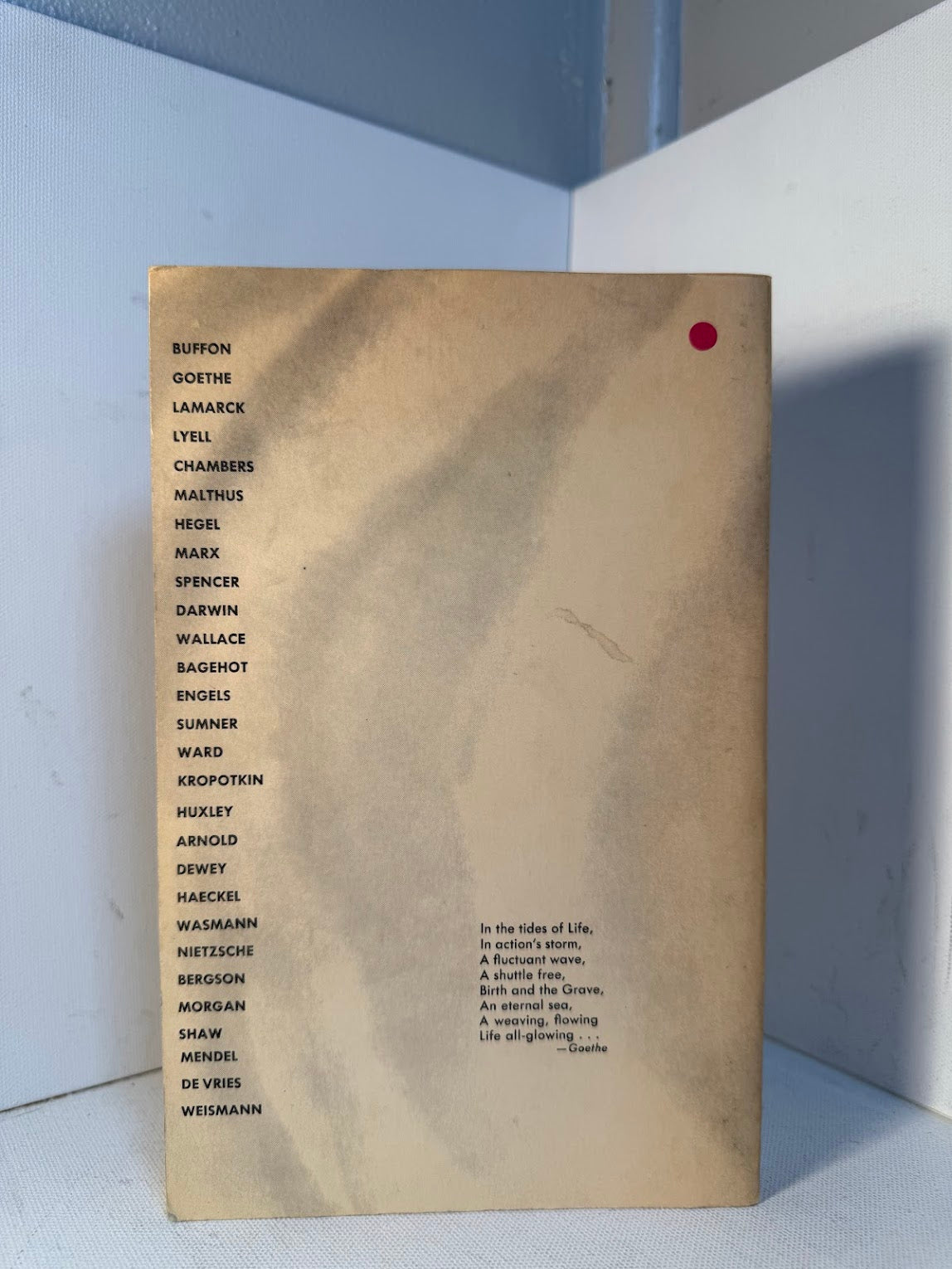 The Idea of Evolution edited by Robert Ames and Philip Siegelman