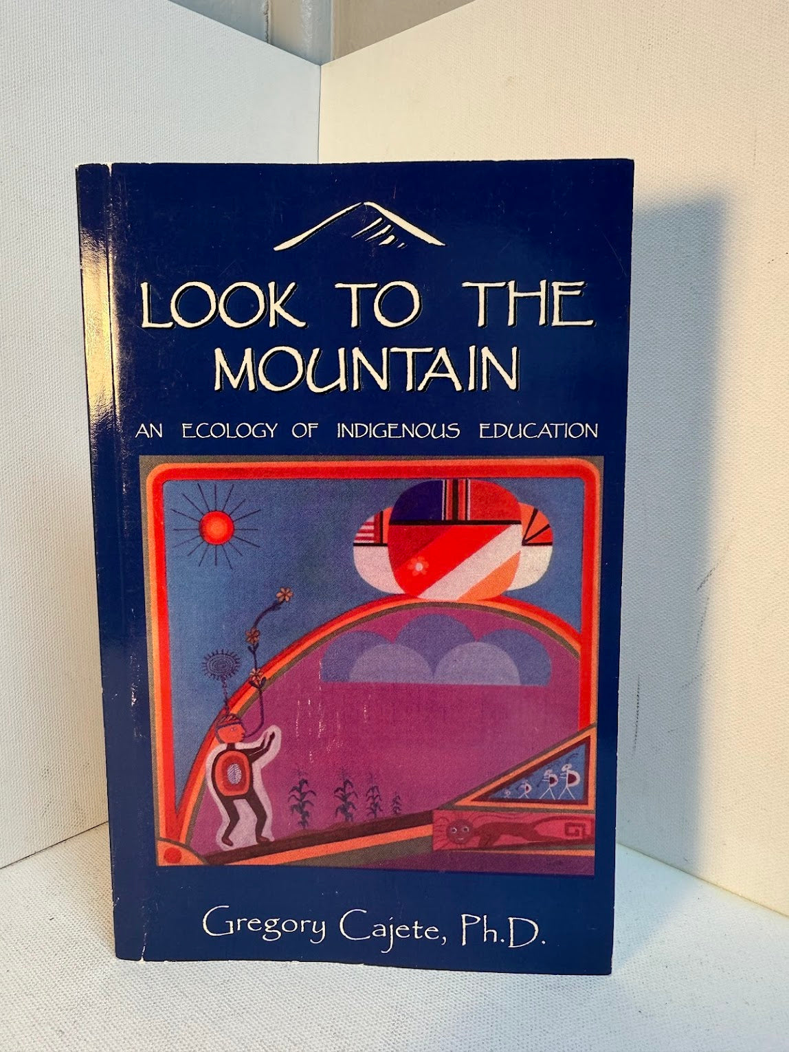 Look to the Mountain - An Ecology of Indigenous Education by Gregory Cajete